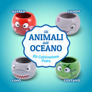 Ocean Animals | Mini Coltivazioni